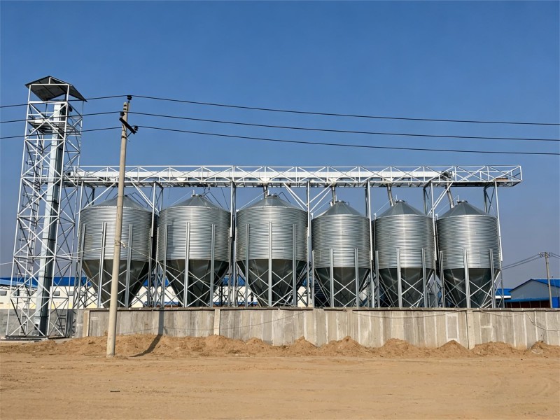 Animal Feed Silo