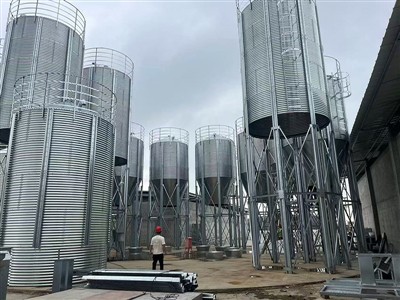 Briefly describe the development history of the steel silo industry