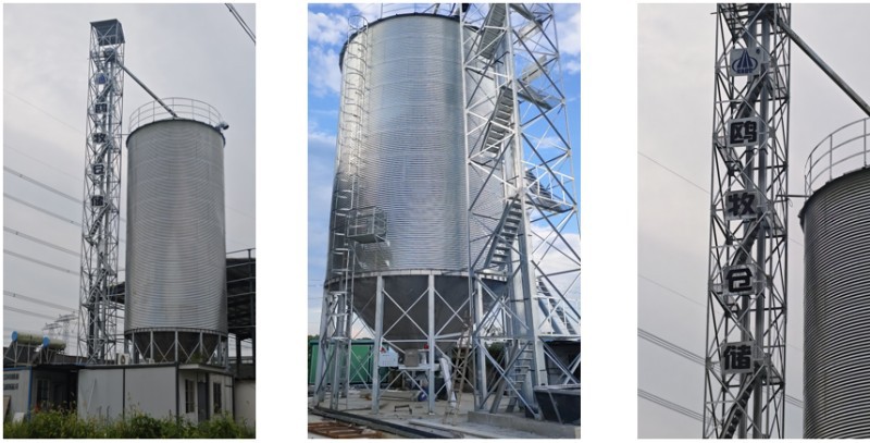 Anhui Xuancheng 400-ton corn steel silo elevator tubular chain conveyor