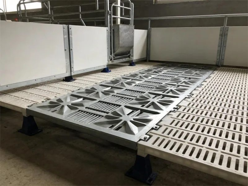 Sow compartment with triangular steel slatted floor Sow compartment with triangular steel slatted floor