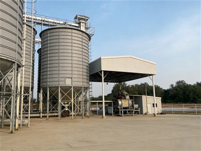 Paddy Silo